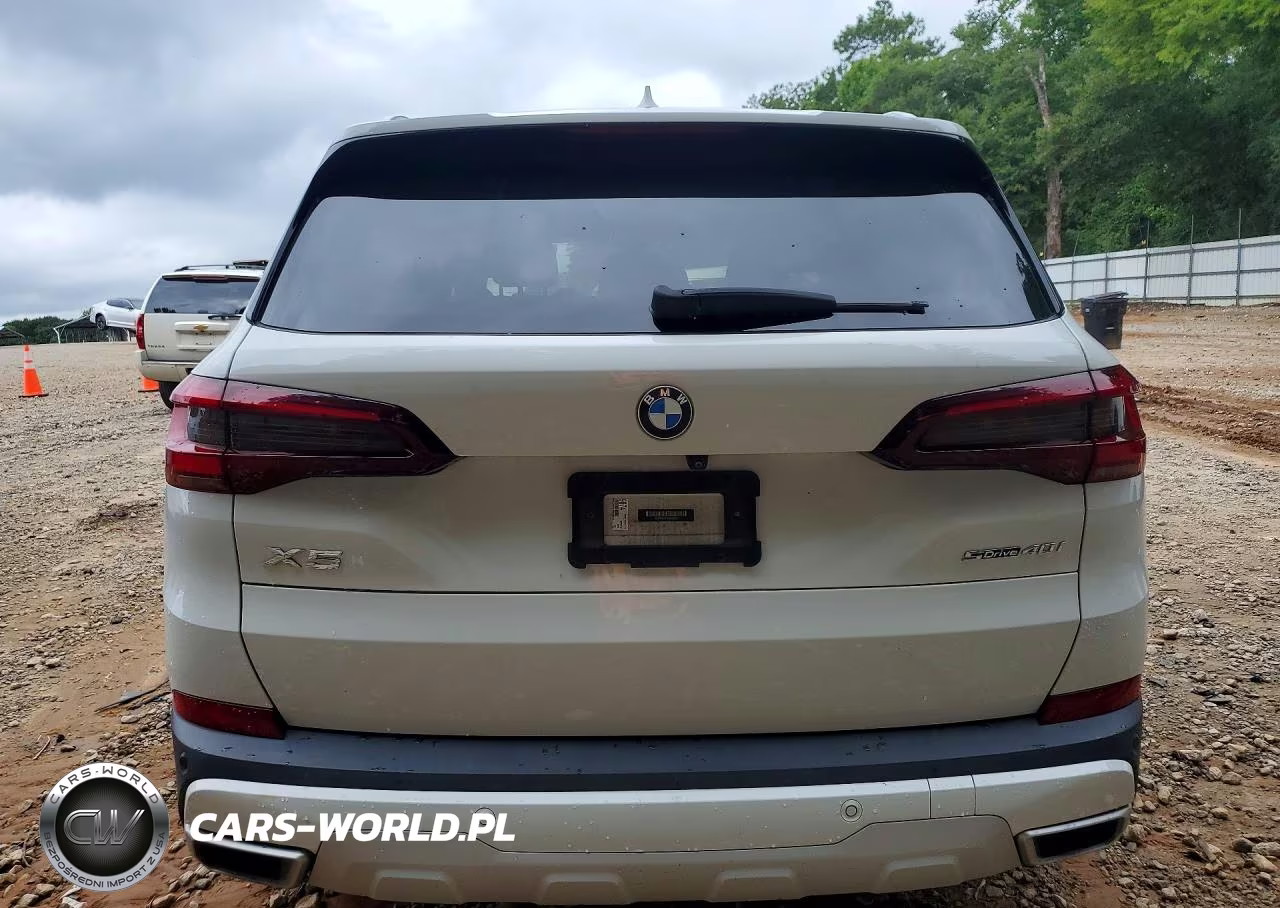2021 BMW X5 Sdrive 40I VIN:5UXCR4C01M9D80927 - 6