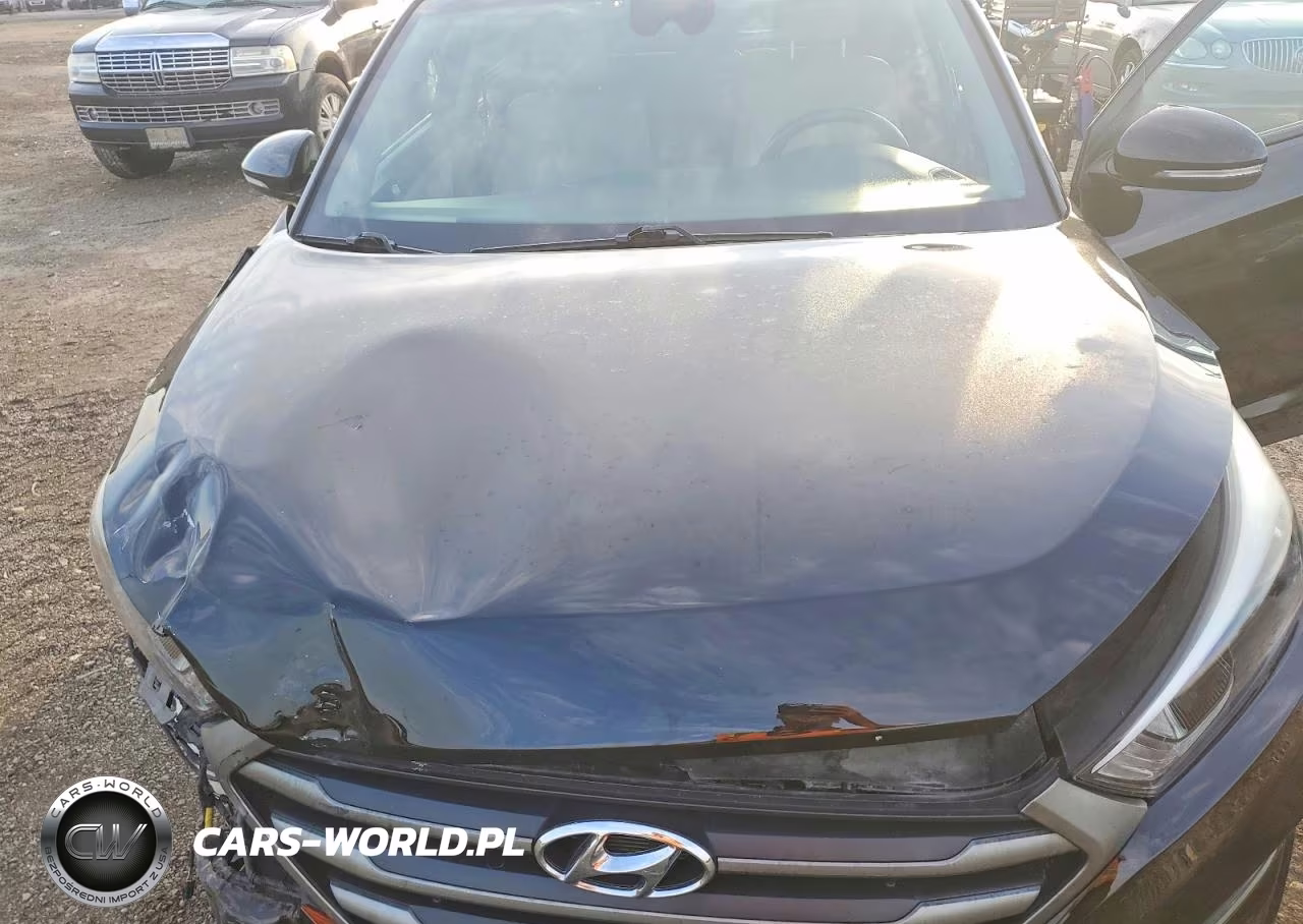 2016 Hyundai Tucson Limited VIN:KM8J3CA27GU156113 - 12