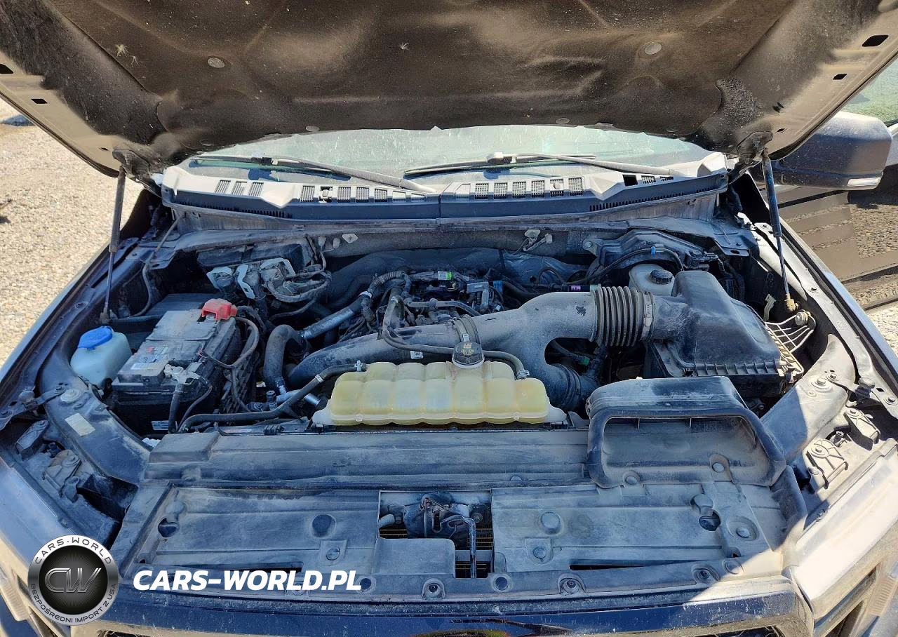 2020 Ford F150 Supercrew VIN:1FTEW1EP3LFC72530 - 11