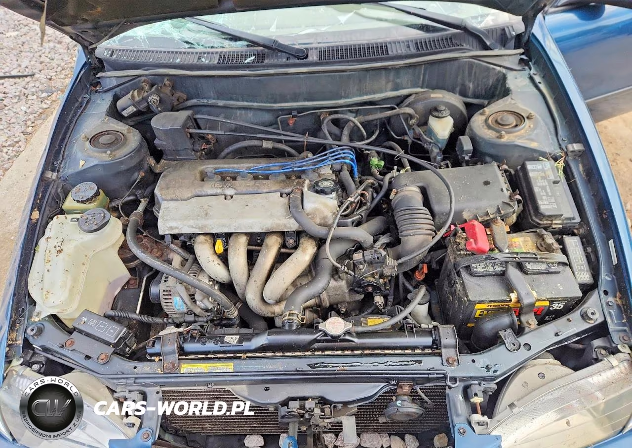 1999 Toyota Corolla Ve-Ce-Le VIN:1NXBR12E7XZ148044 - 11