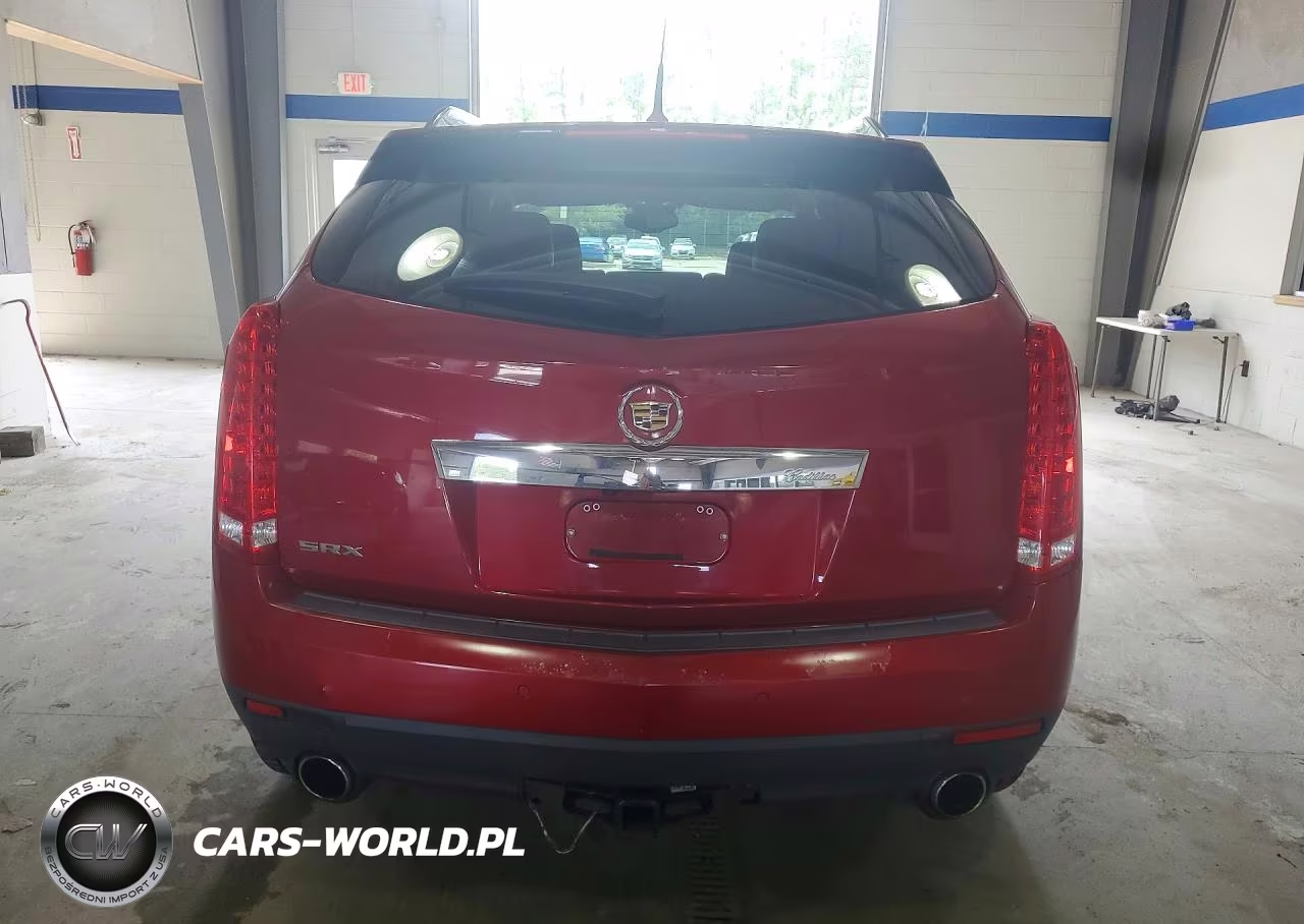 2010 Cadillac Srx Luxury Collection VIN:3GYFNAEY4AS631208 - 6