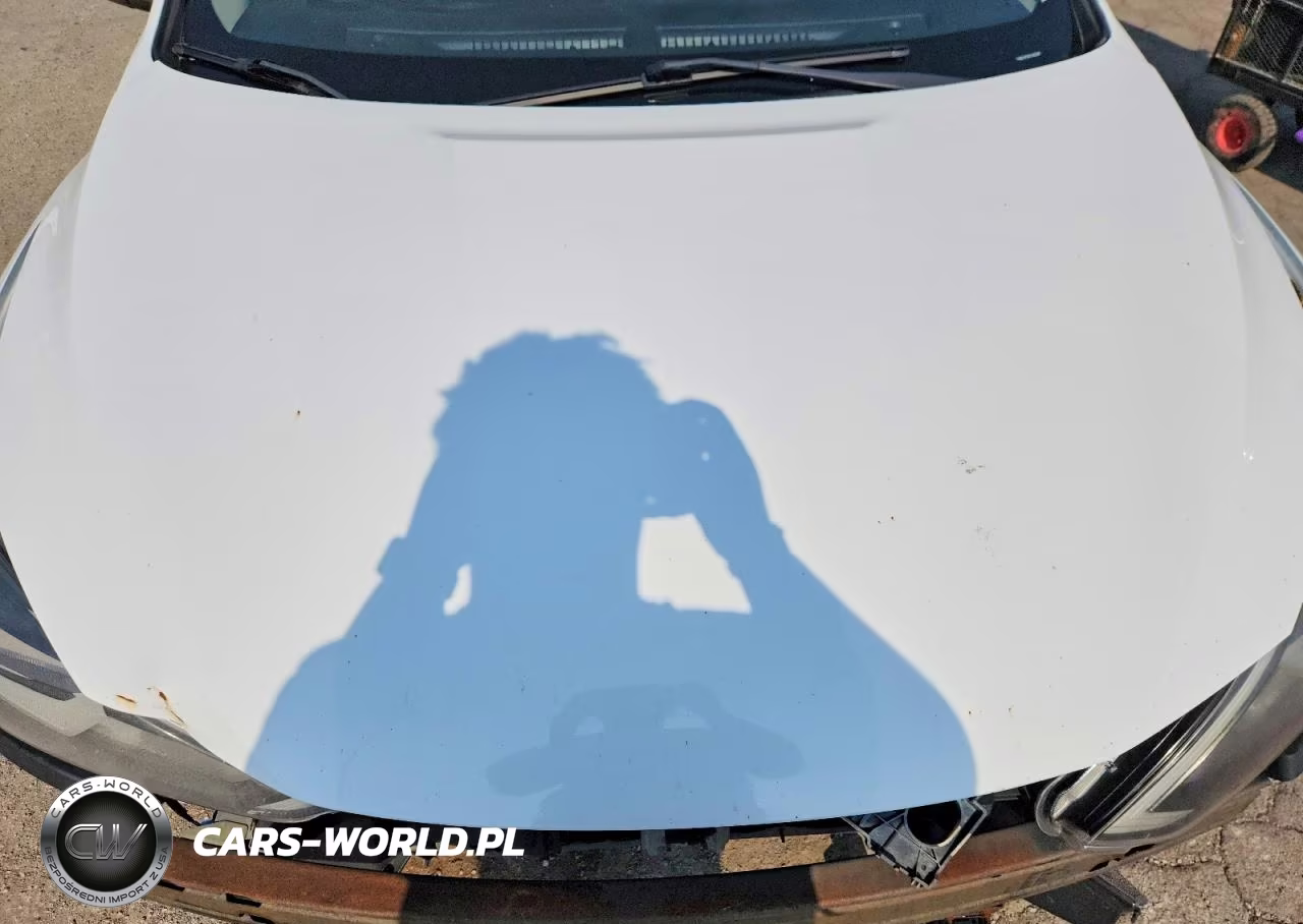 2019 Nissan Sentra Sv VIN:3N1AB7AP2KY427825 - 11