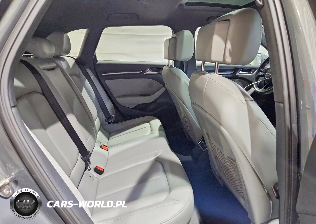 2017 Audi A3 E-Tron Premium Plus VIN:WAUTPBFF3HA088321 - 10