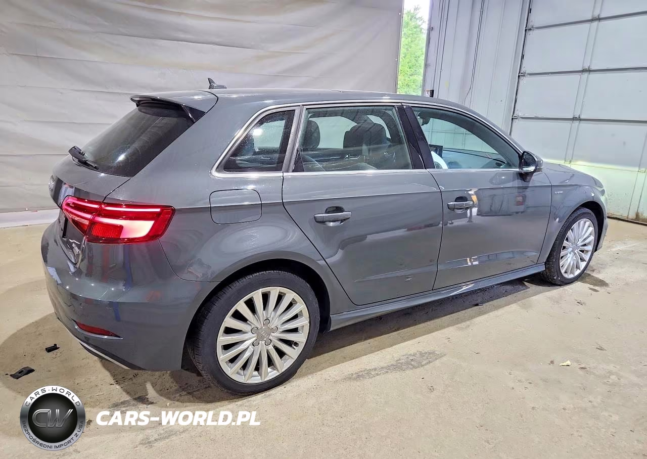 2017 Audi A3 E-Tron Premium Plus VIN:WAUTPBFF3HA088321 - 3