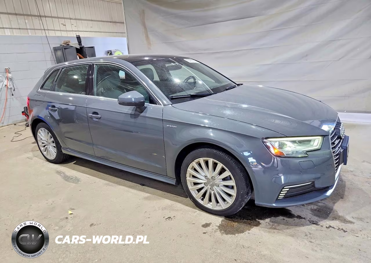 2017 Audi A3 E-Tron Premium Plus VIN:WAUTPBFF3HA088321 - 4