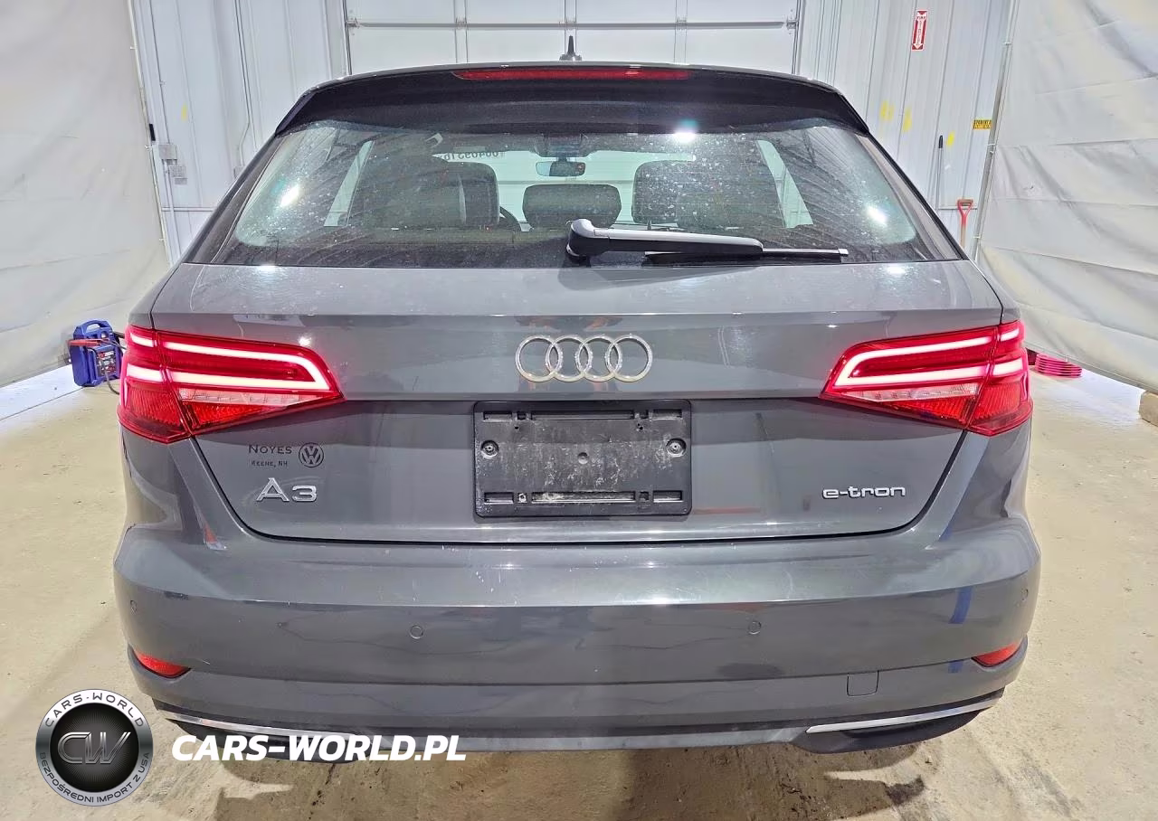 2017 Audi A3 E-Tron Premium Plus VIN:WAUTPBFF3HA088321 - 6