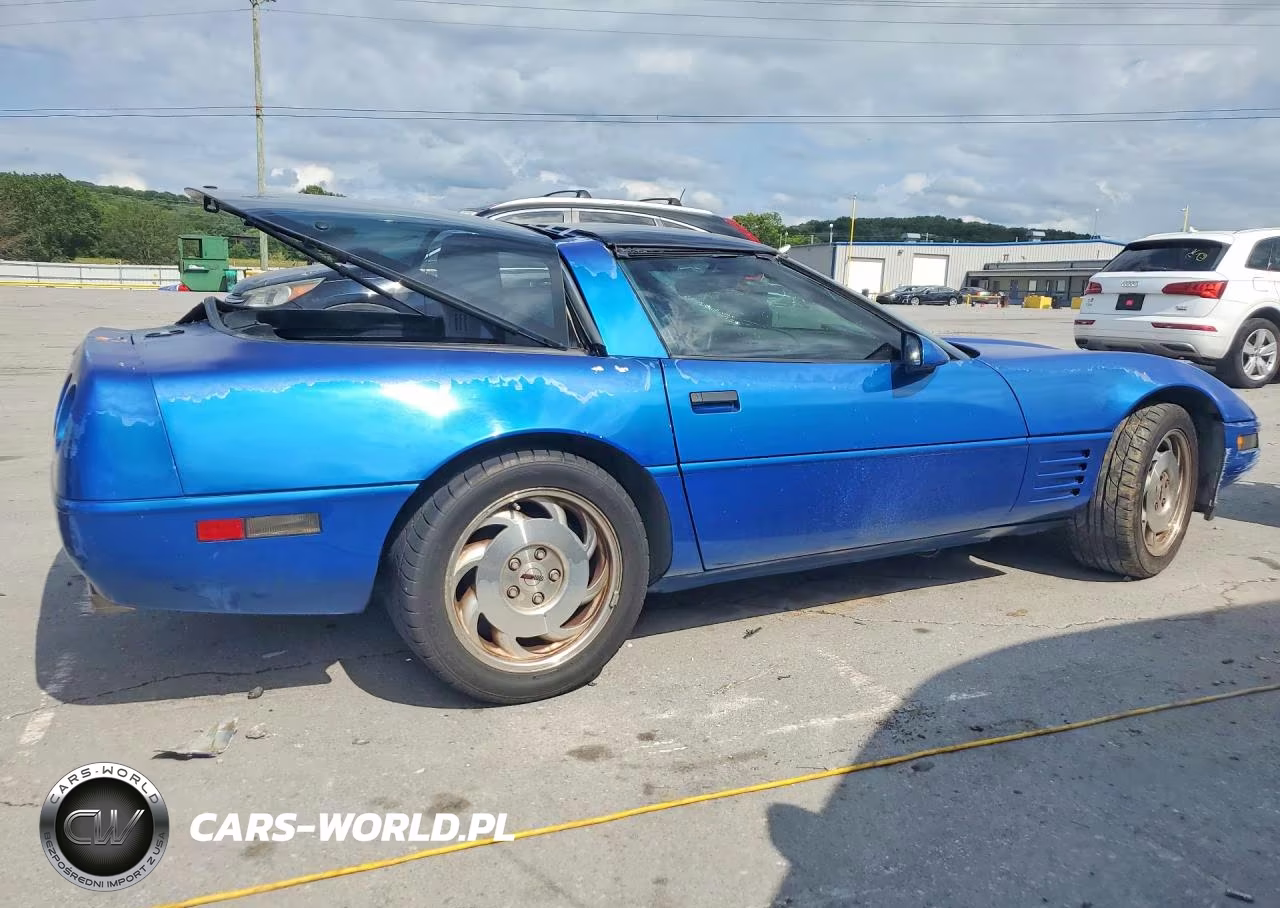 1993 Chevrolet Corvette VIN:1G1YY23P0P5101898 - 3