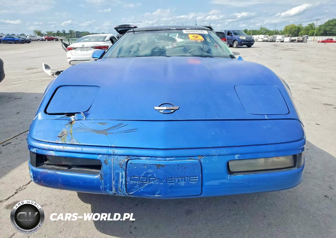 1993 Chevrolet Corvette VIN:1G1YY23P0P5101898 - 5