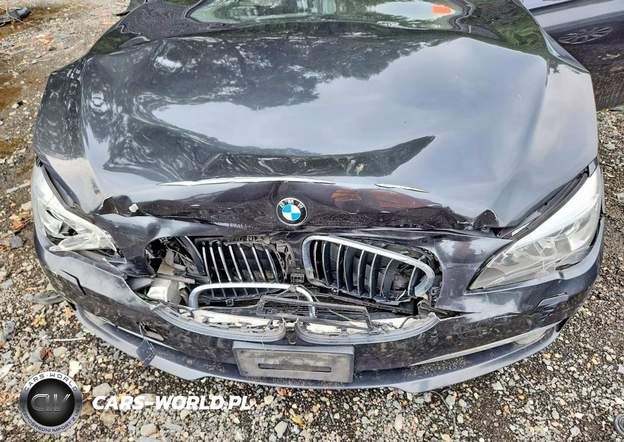 2013 BMW 740 Lxi VIN:WBAYF4C53DDE23752 - 11
