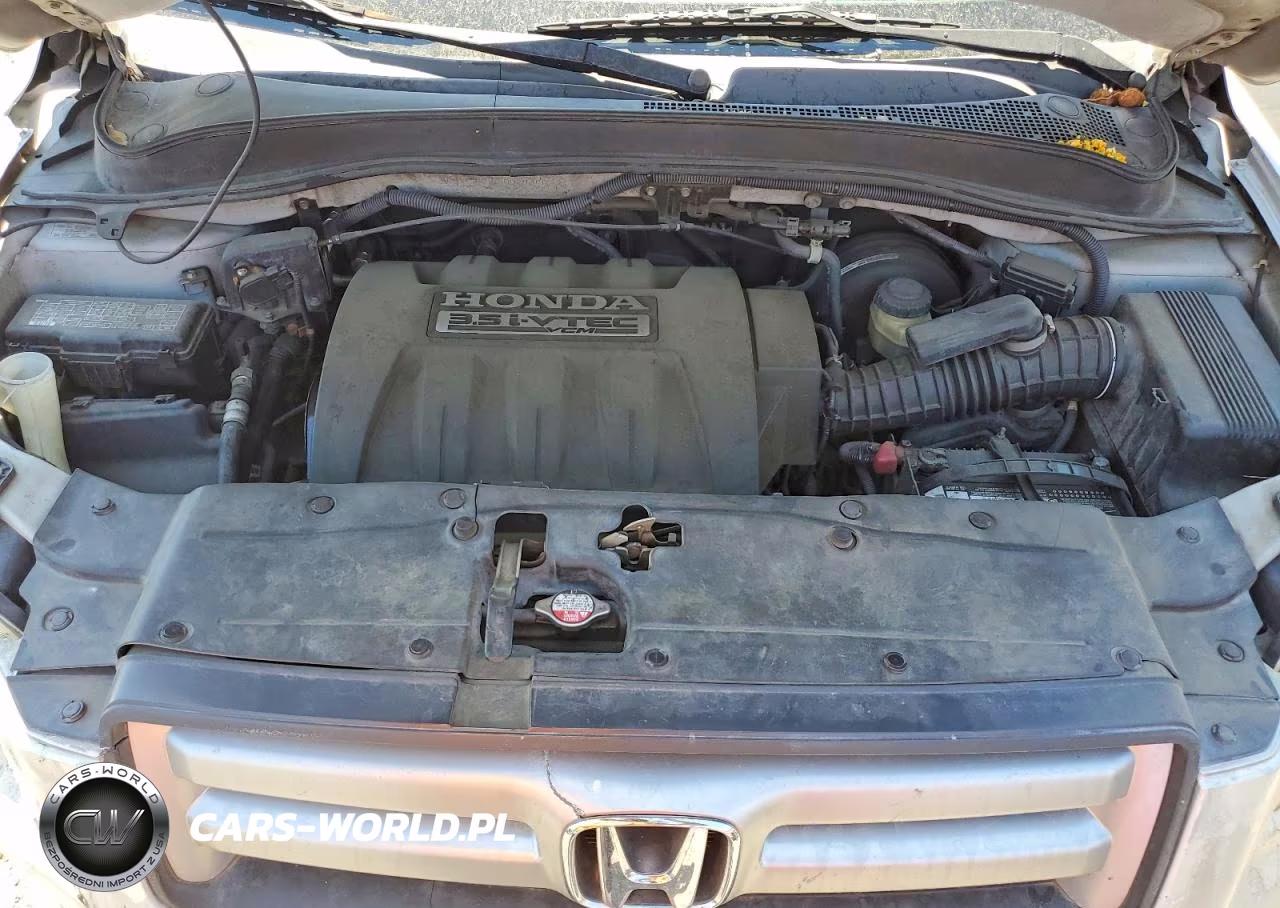 2006 Honda Pilot Ex VIN:5FNYF28566B029350 - 12