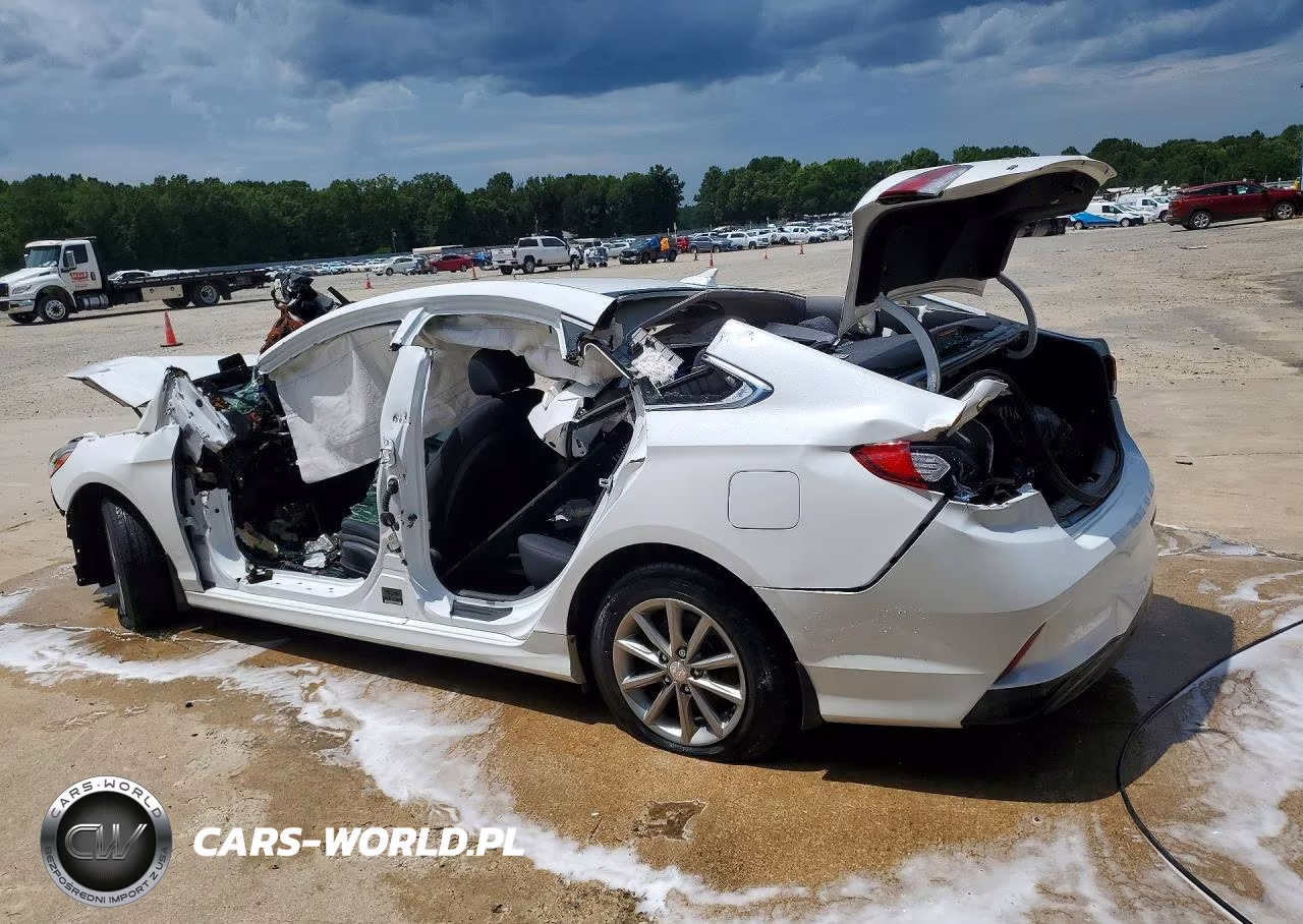 2019 Hyundai Sonata Se VIN:5NPE24AF3KH770144 - 2