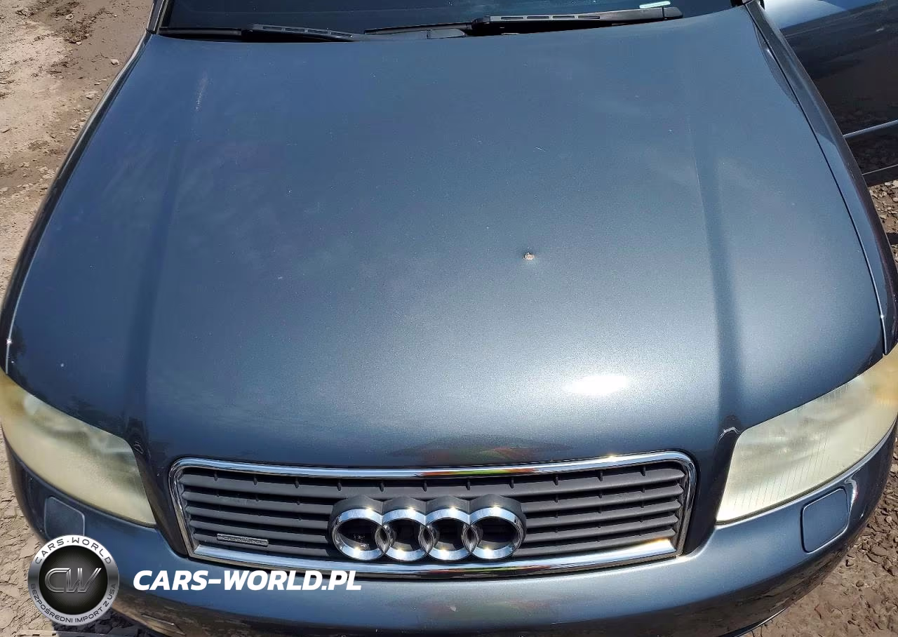 2005 Audi A4 VIN:WAULC68E95A026537 - 11