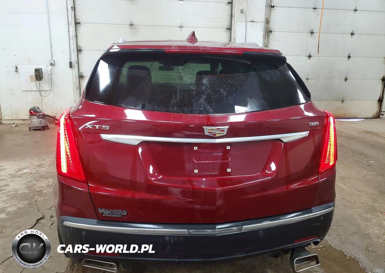 2017 Cadillac Xt5 Luxury VIN:1GYKNBRS2HZ117980 - 6