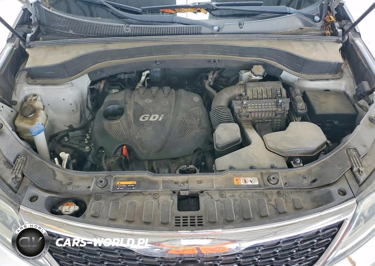 2014 Kia Sorento Lx VIN:5XYKT4A69EG506888 - 12