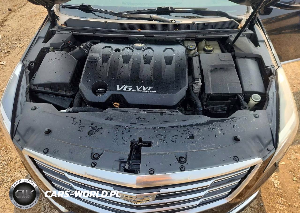 2019 Cadillac Xts Luxury VIN:2G61M5S38K9132125 - 11