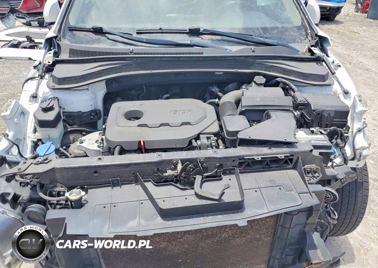 2019 Hyundai Santa Fe Sel VIN:5NMS33AD5KH041780 - 12