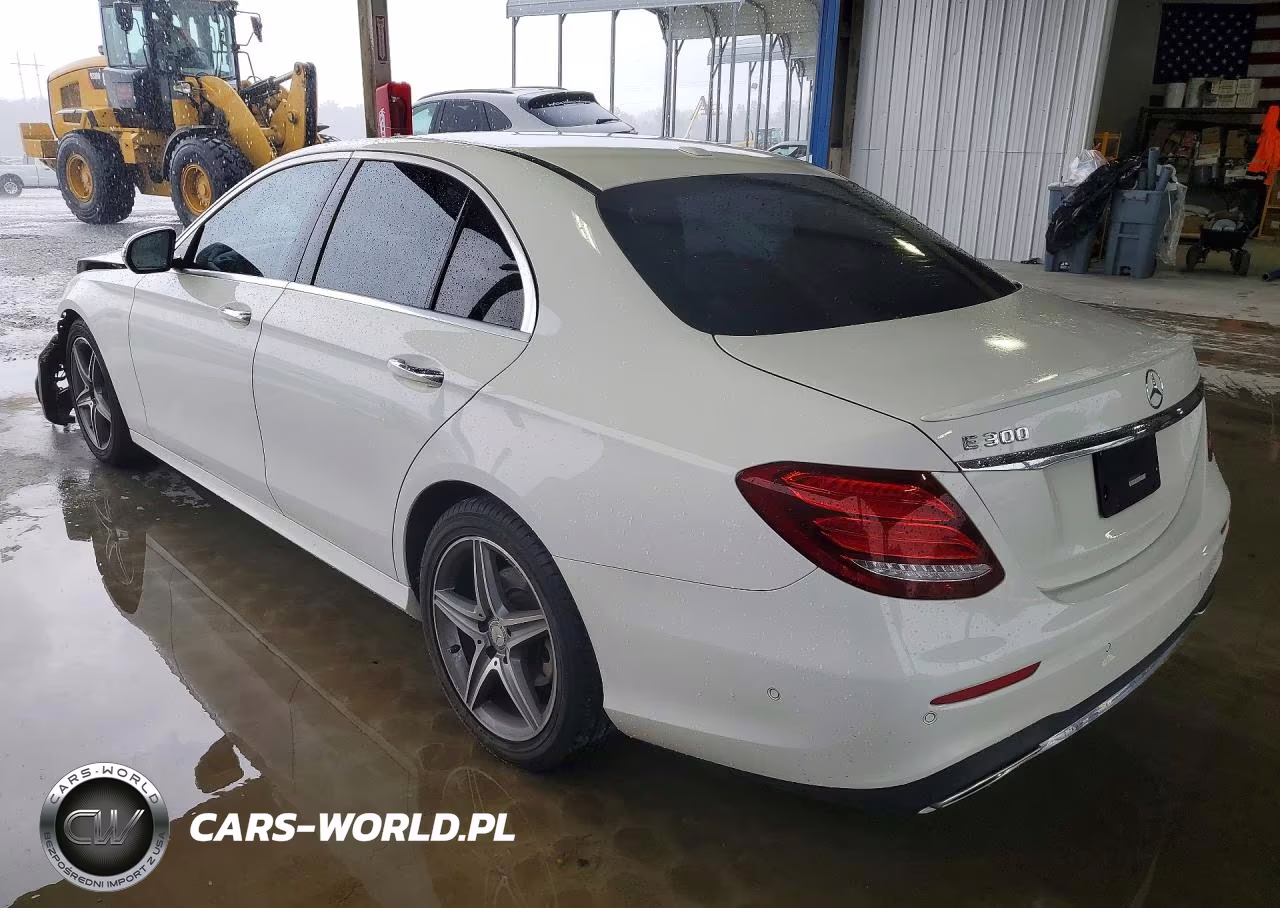 2017 Mercedes-Benz E 300 VIN:WDDZF4JBXHA036061 - 2