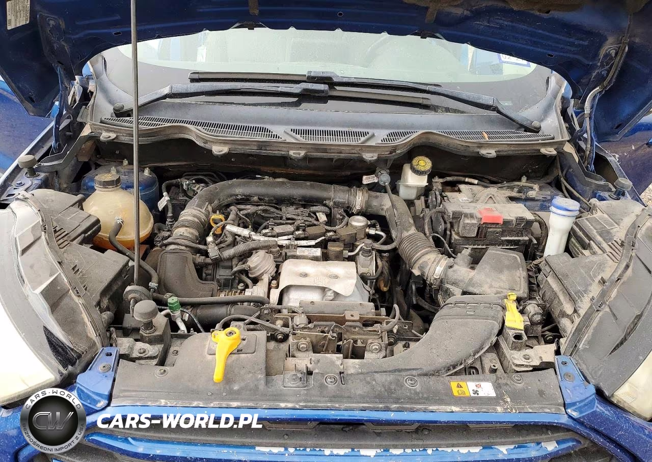 2019 Ford Ecosport Se VIN:MAJ3S2GE3KC274899 - 11