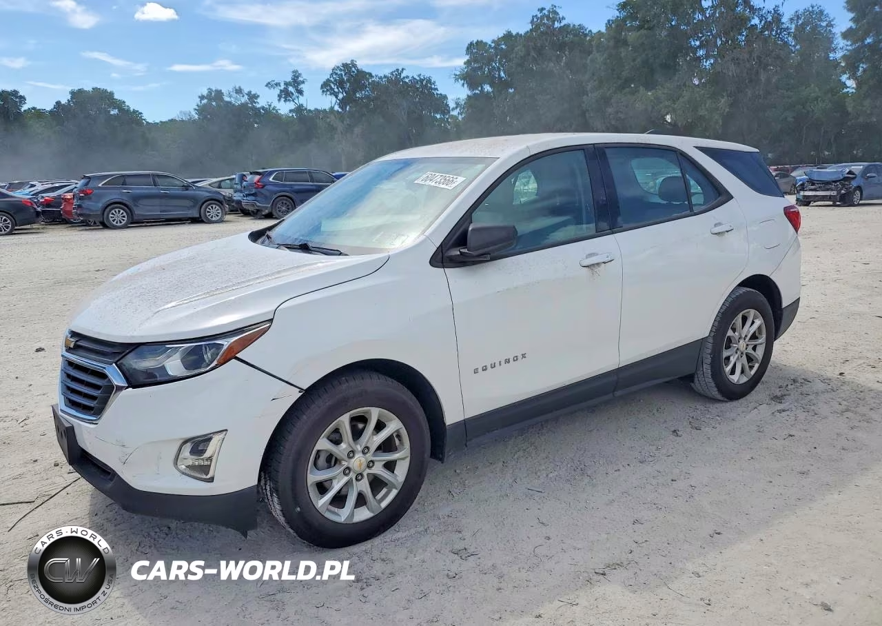 2019 Chevrolet Equinox Ls – zdjęcie 1 z 13