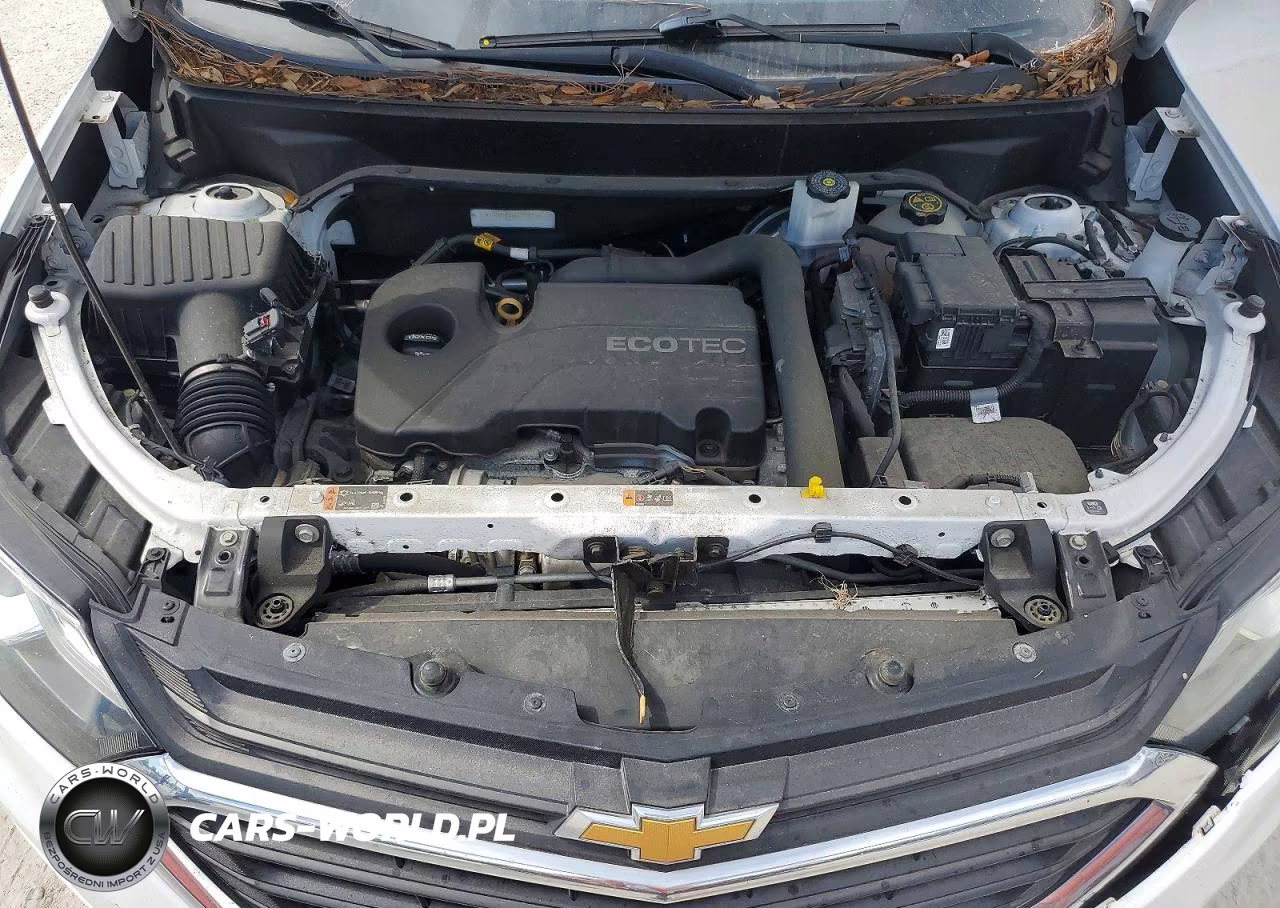 2019 Chevrolet Equinox Ls VIN:2GNAXHEV6K6295447 - 12