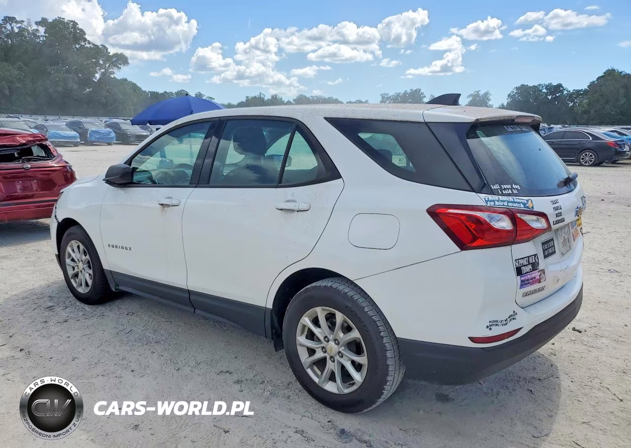 2019 Chevrolet Equinox Ls VIN:2GNAXHEV6K6295447 - 2