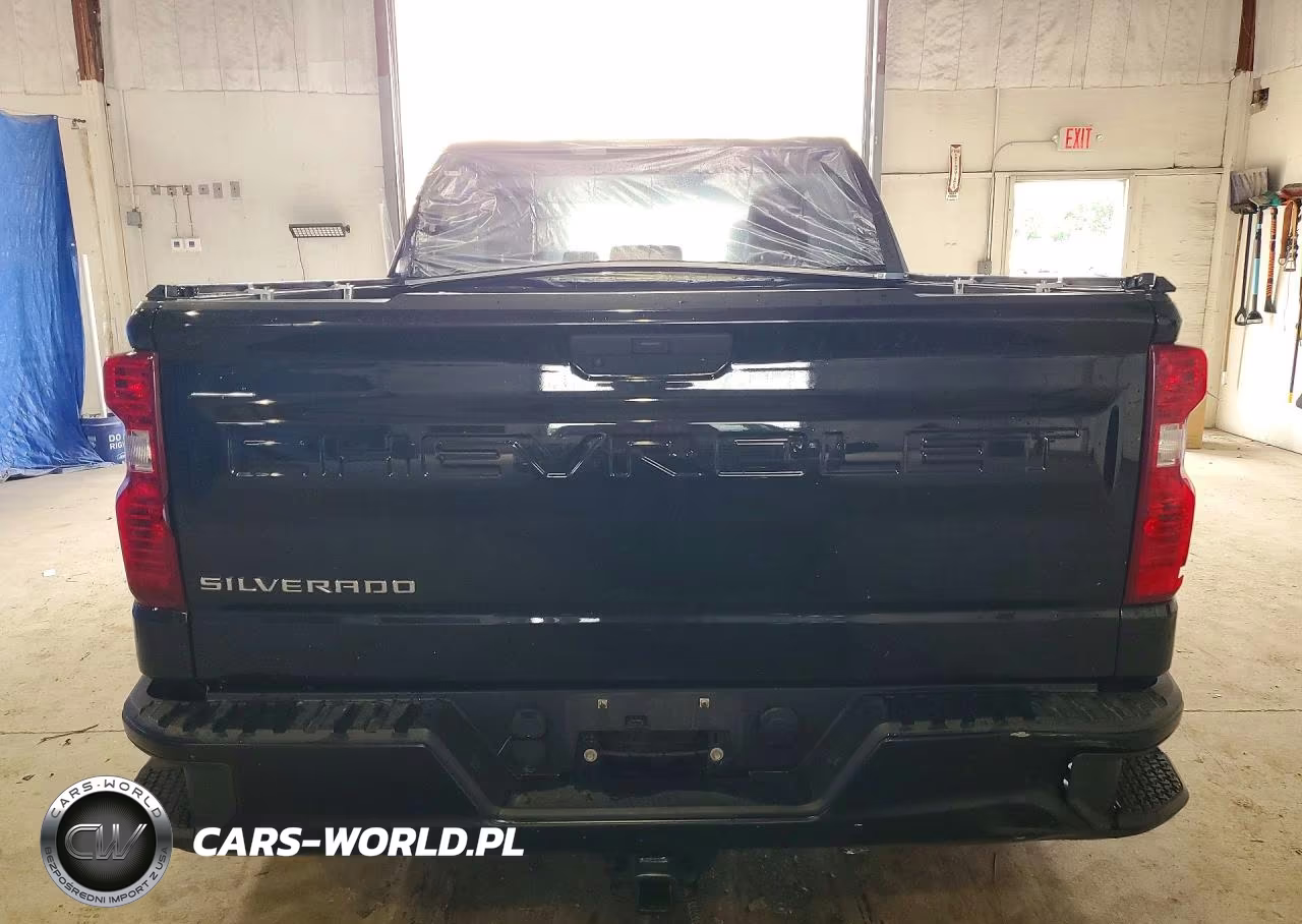 2020 Chevrolet Silverado K1500 VIN:3GCPYAEK1LG133793 - 6
