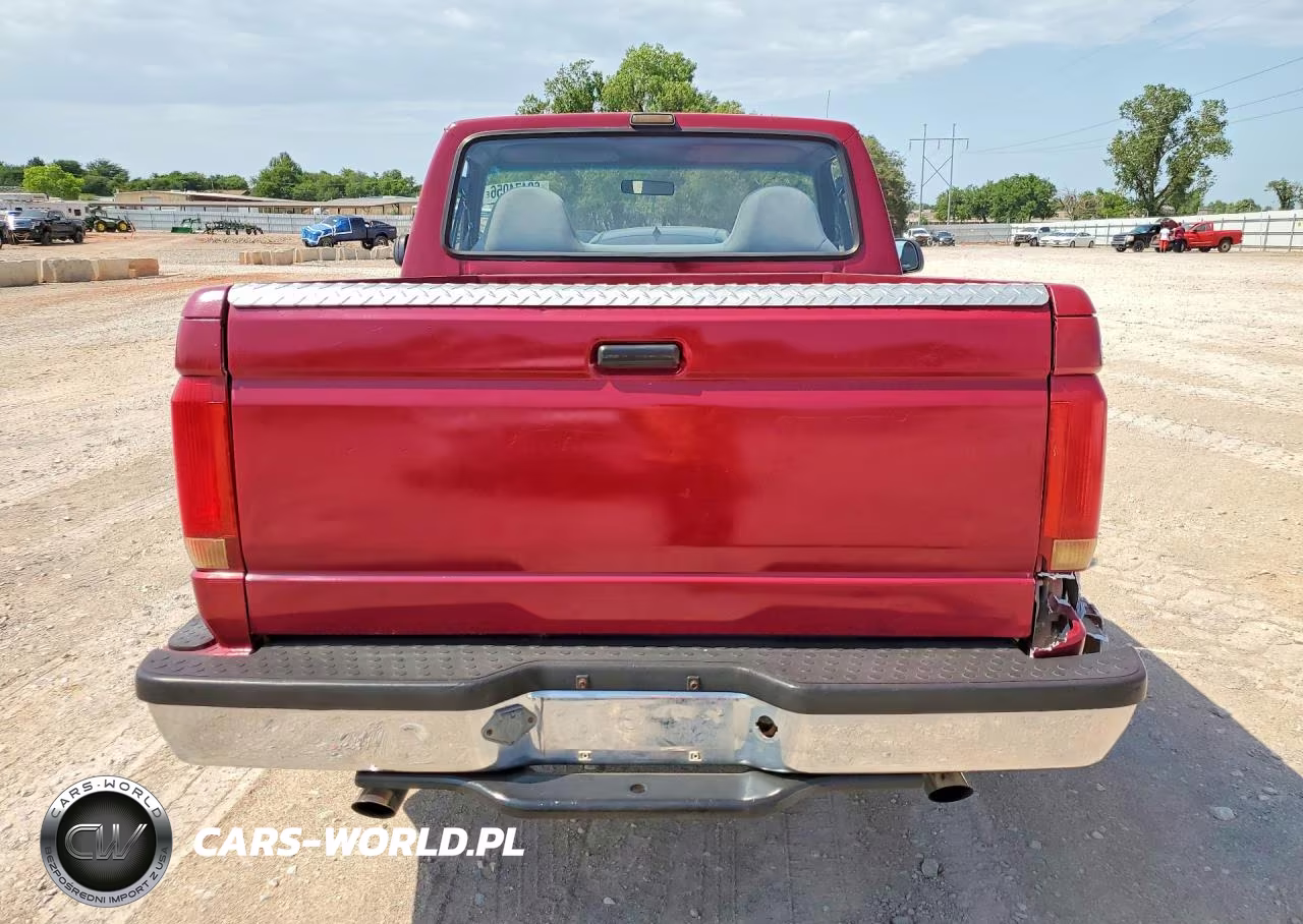 1993 Ford F150 VIN:1FTCF15N4PKB96545 - 6