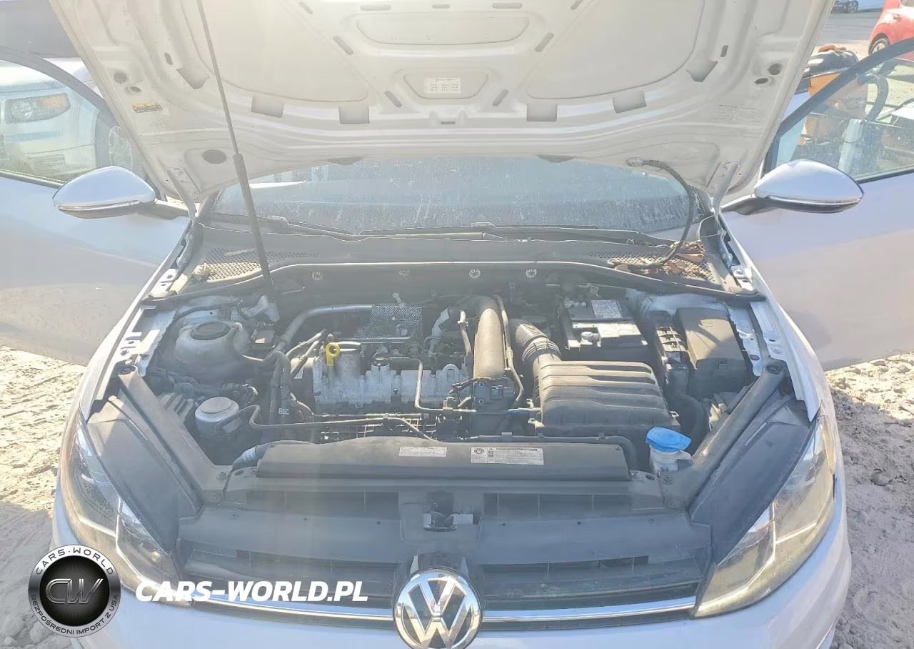 2019 Volkswagen Golf Sportwagen S-Se VIN:3VWY57AUXKM509038 - 12