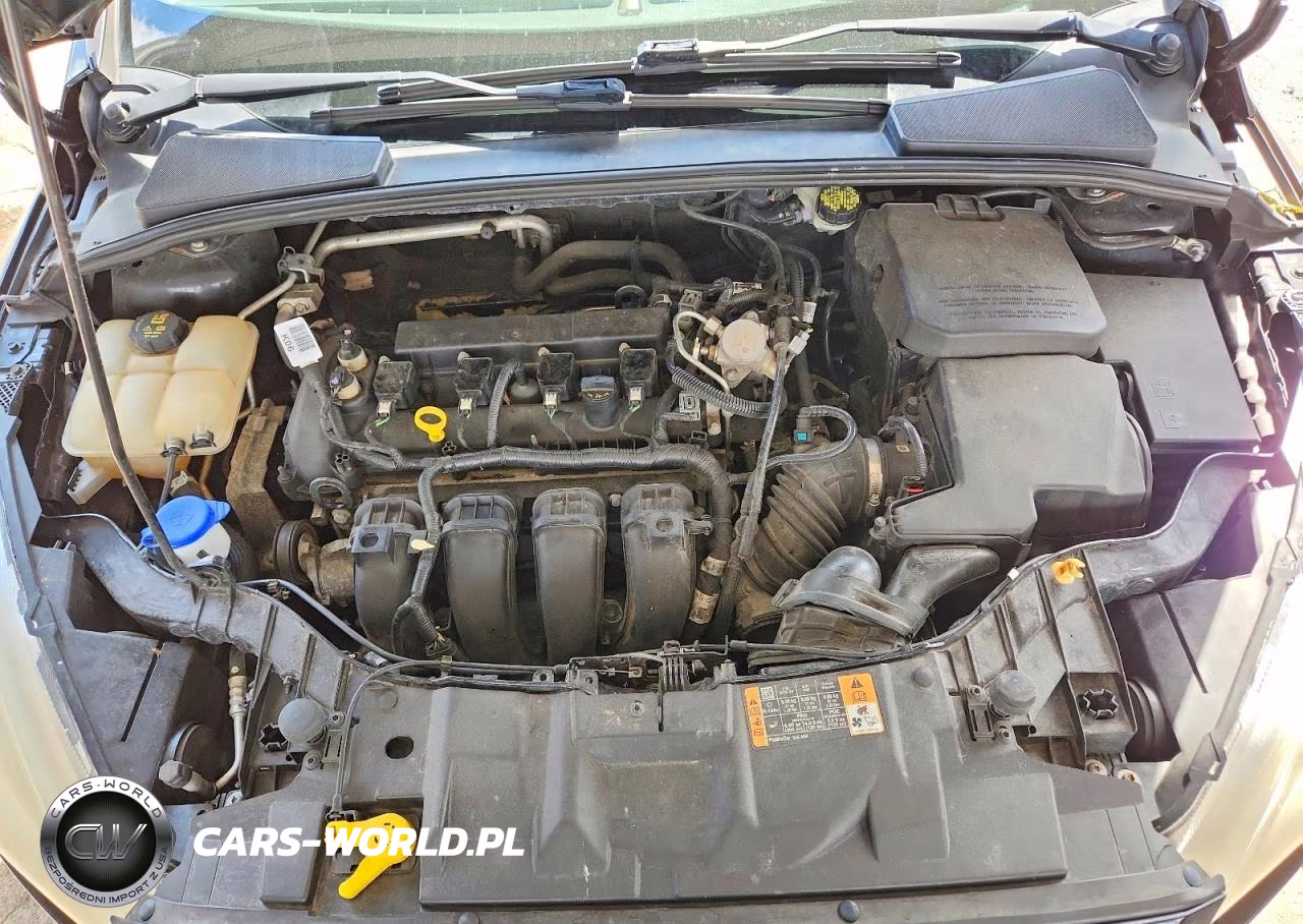 2016 Ford Focus Se VIN:1FADP3F25GL337558 - 11