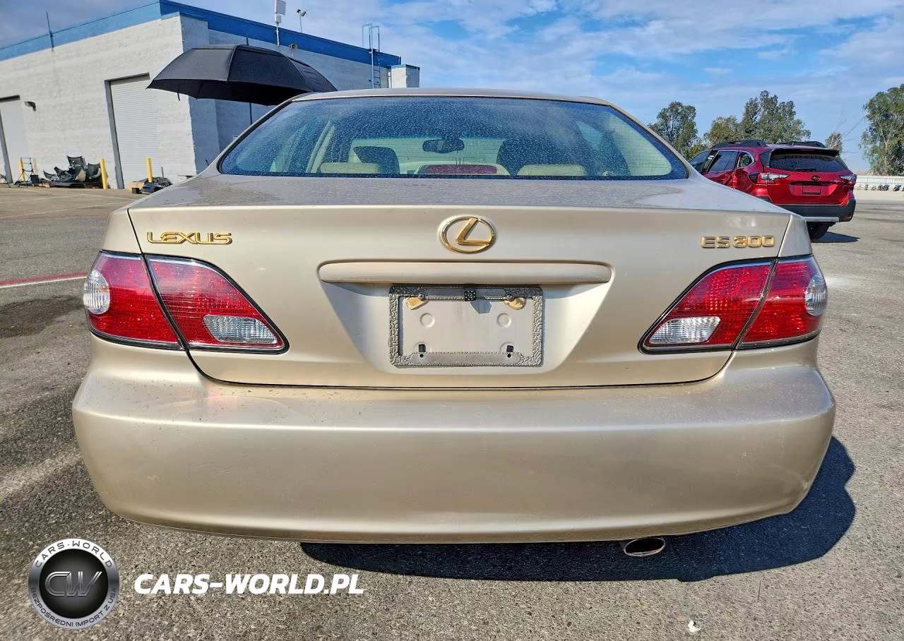 2003 Lexus Es 300 VIN:JTHBF30G636011297 - 6