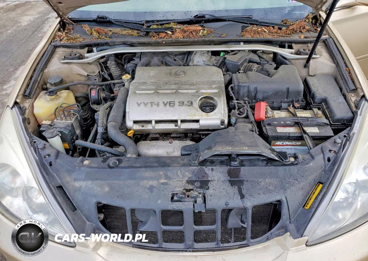 2004 Lexus Es 330 VIN:JTHBA30GX45025578 - 11