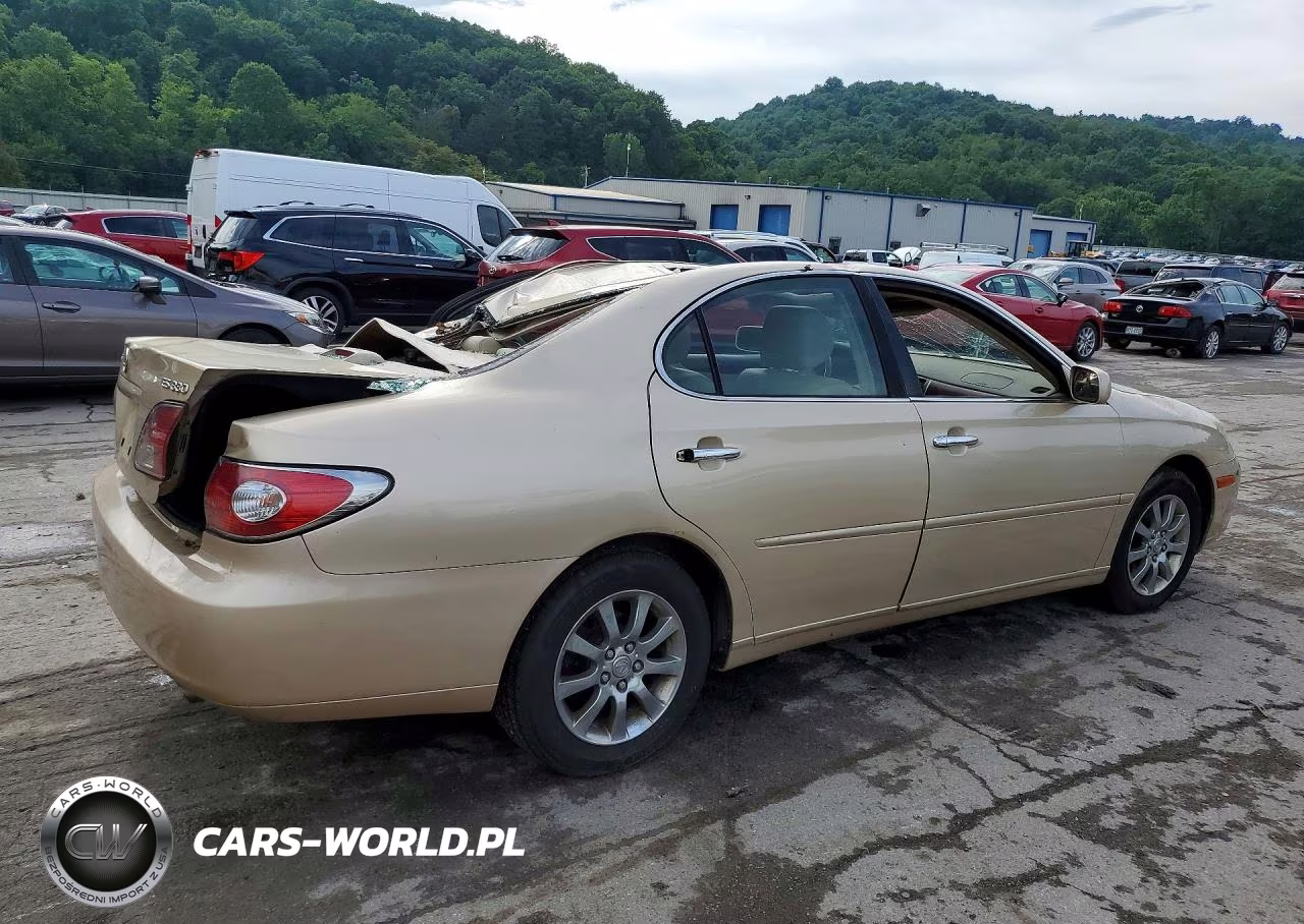 2004 Lexus Es 330 VIN:JTHBA30GX45025578 - 3