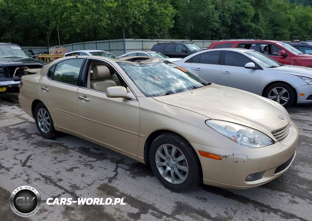 2004 Lexus Es 330 VIN:JTHBA30GX45025578 - 4