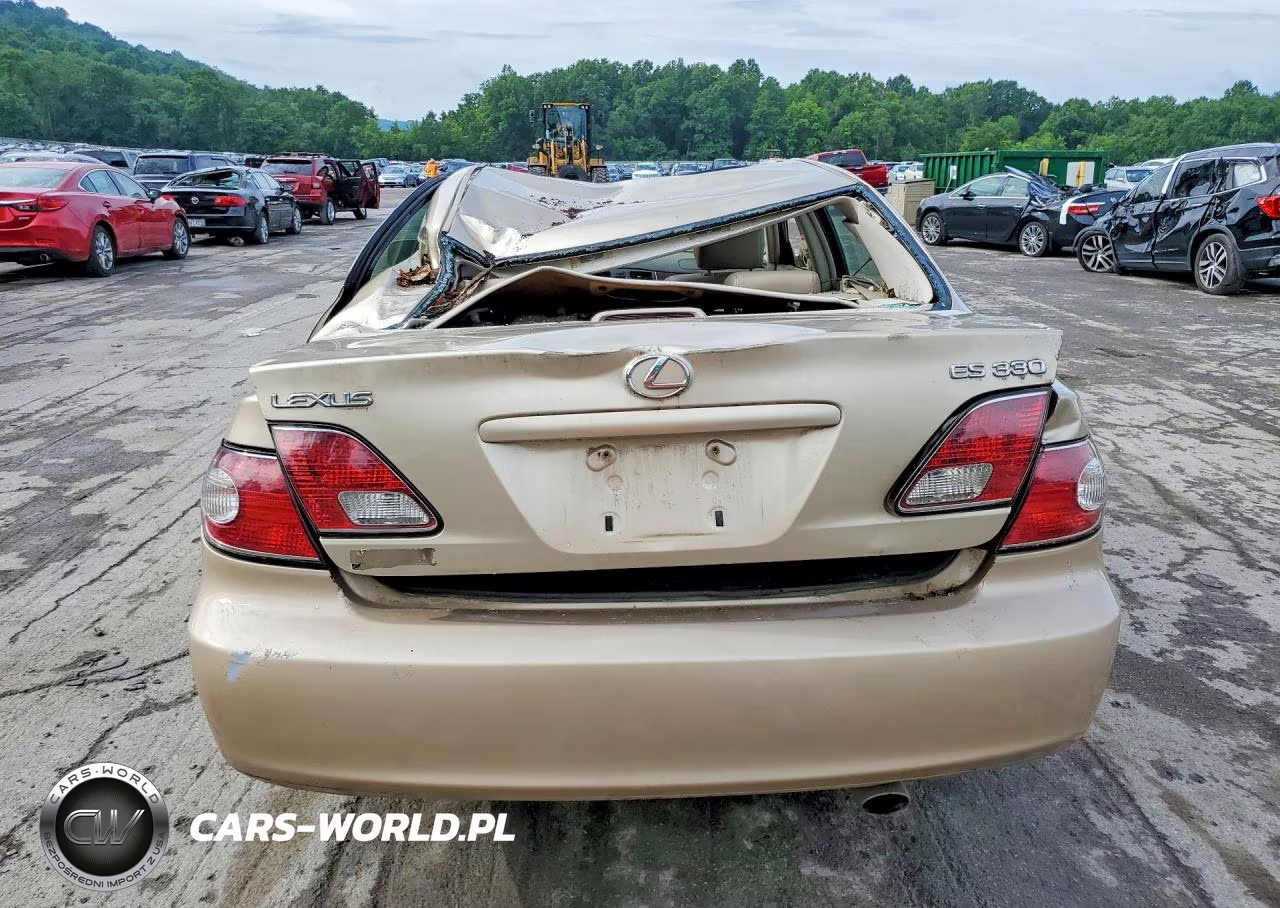 2004 Lexus Es 330 VIN:JTHBA30GX45025578 - 6