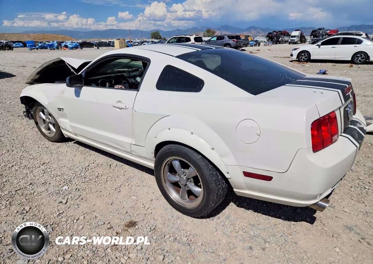 2008 Ford Mustang Gt VIN:1ZVHT82H985198519 - 2