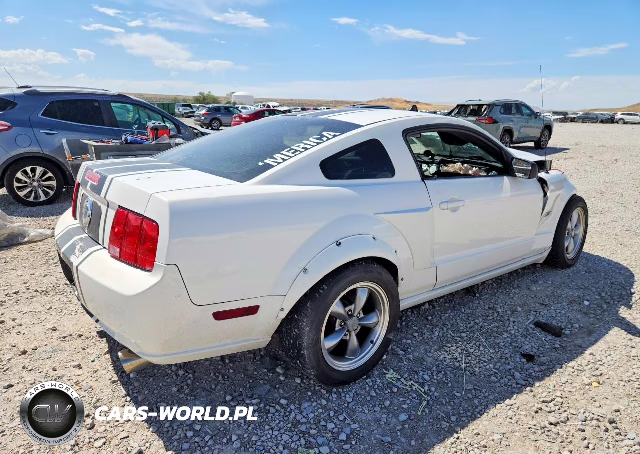 2008 Ford Mustang Gt VIN:1ZVHT82H985198519 - 3