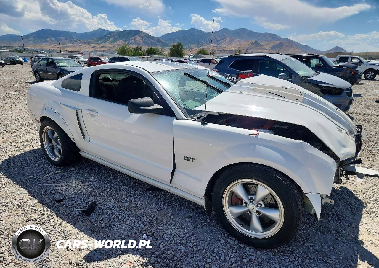 2008 Ford Mustang Gt VIN:1ZVHT82H985198519 - 4