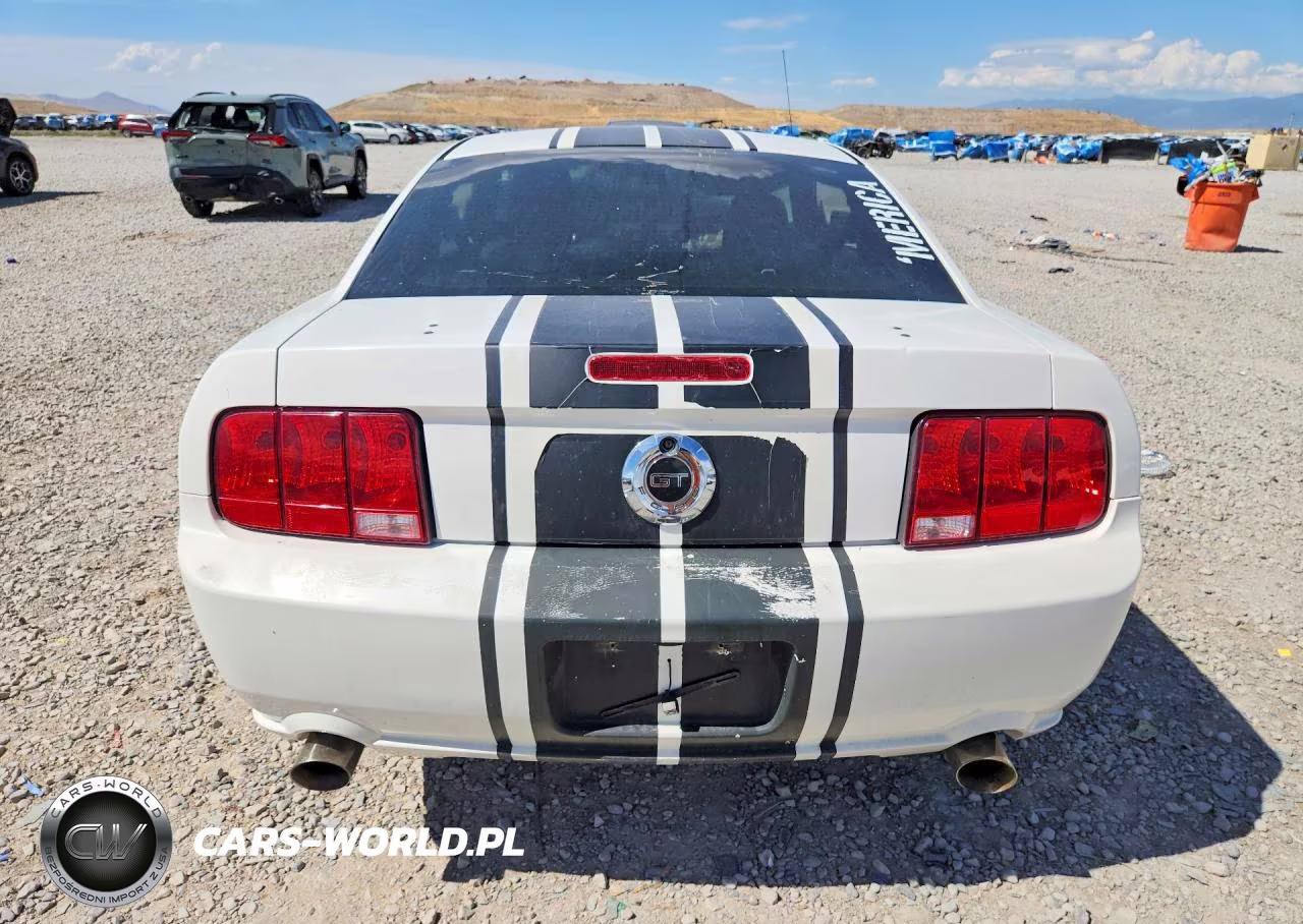 2008 Ford Mustang Gt VIN:1ZVHT82H985198519 - 6