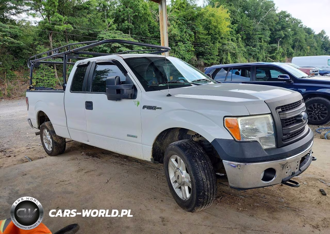 FORD F150 SUPER VIN:1FTFX1ET1EKF30021 - 4