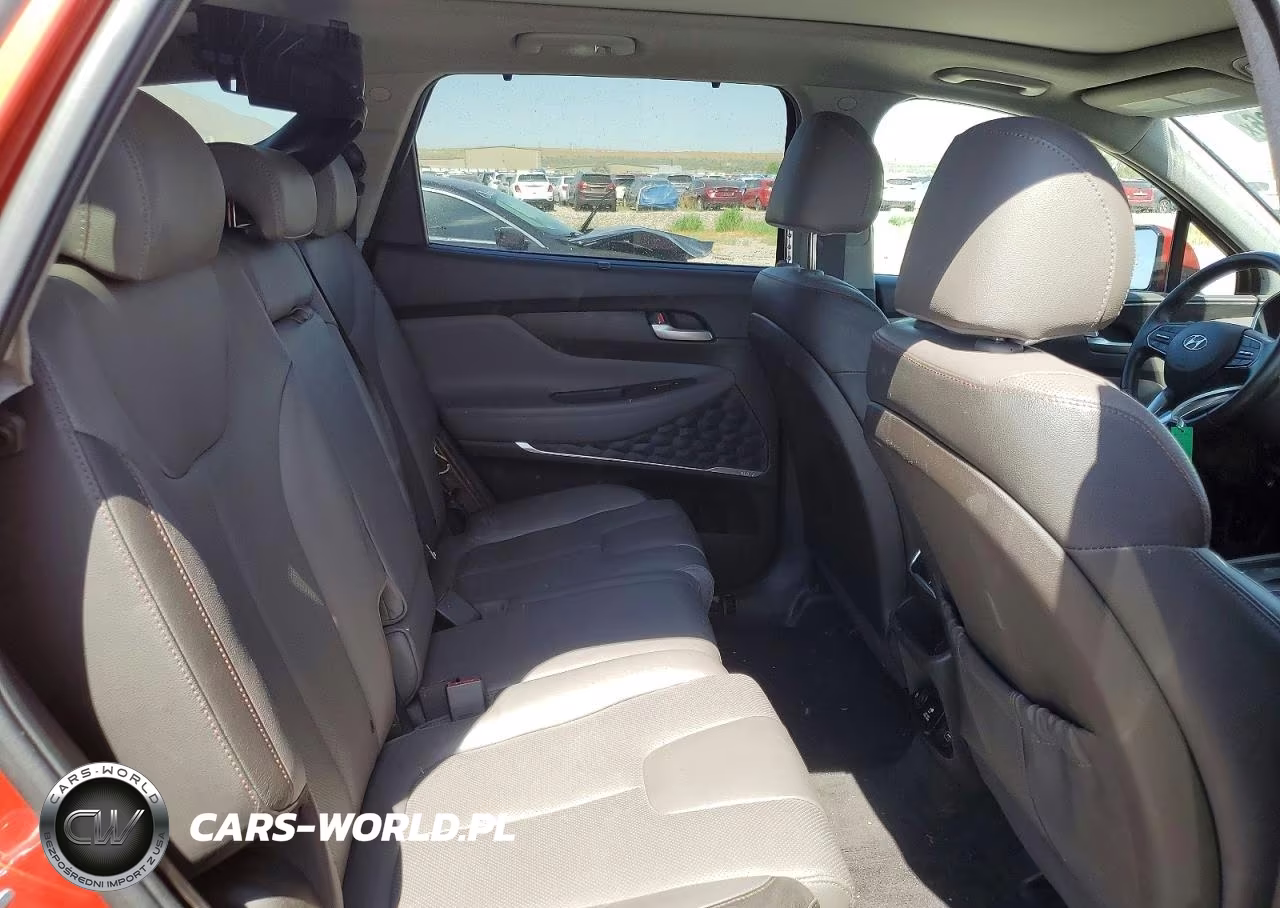 2020 Hyundai Santa Fe Limited 2.0T VIN:5NMS5CAA5LH218829 - 10