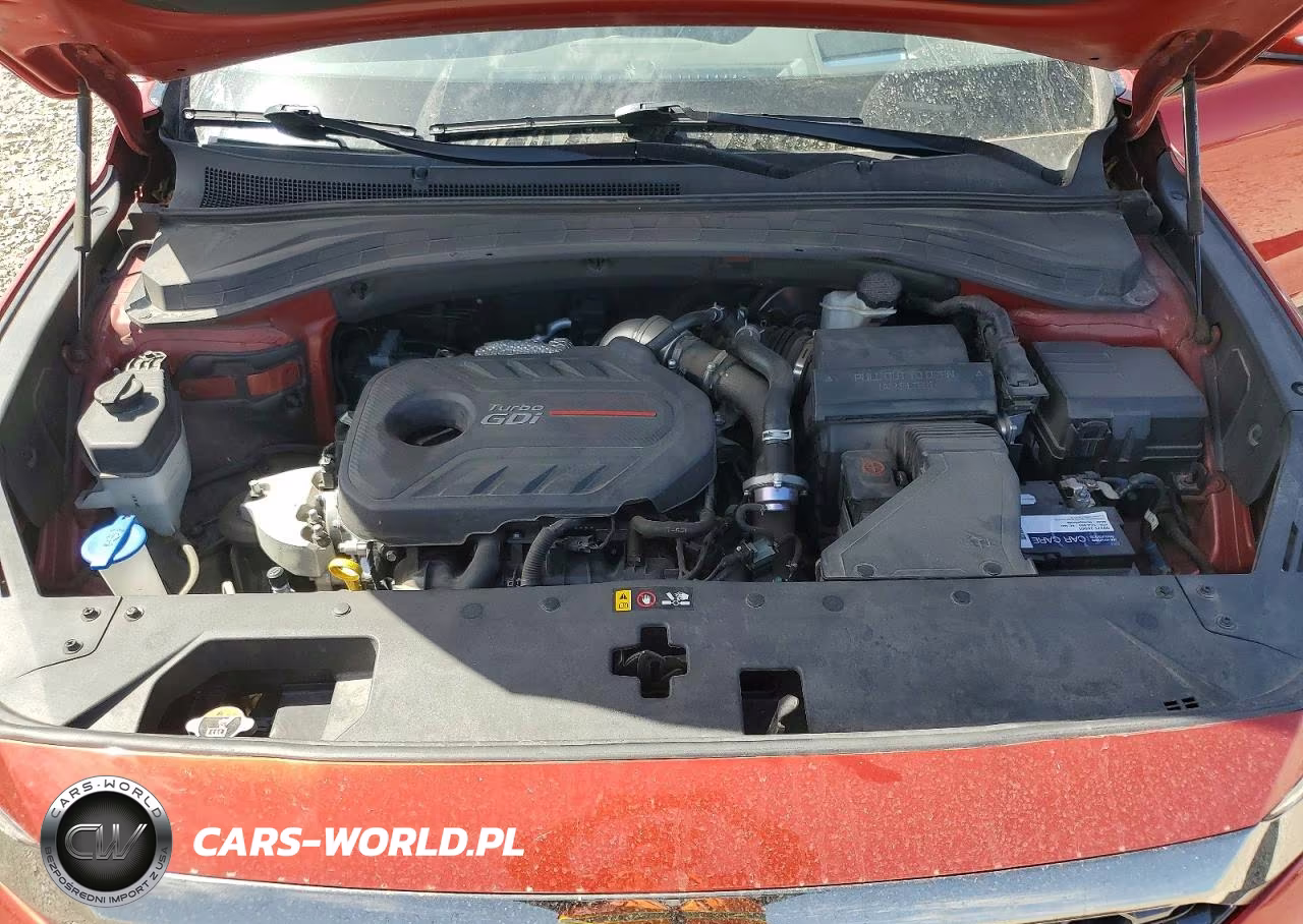 2020 Hyundai Santa Fe Limited 2.0T VIN:5NMS5CAA5LH218829 - 11