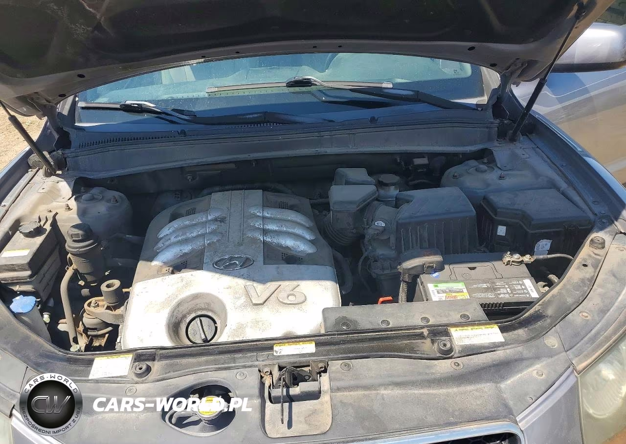 2007 Hyundai Santa Fe Se VIN:5NMSH13E97H079385 - 12