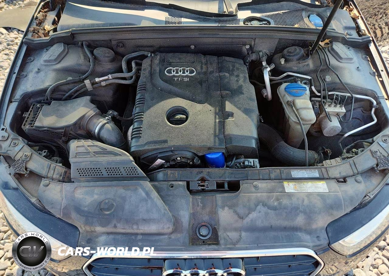 2015 Audi A4 Premium Plus VIN:WAUFFAFL0FN043231 - 11