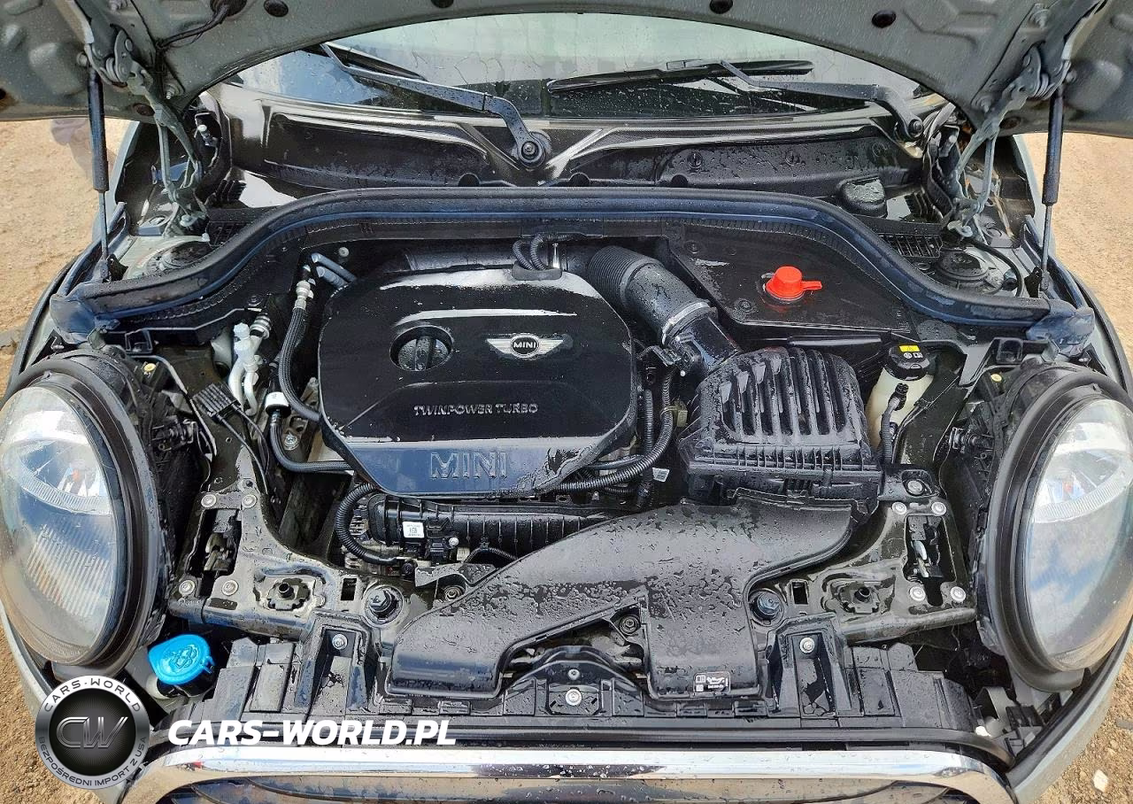 2019 Mini Cooper VIN:WMWXU1C54K2H74016 - 12