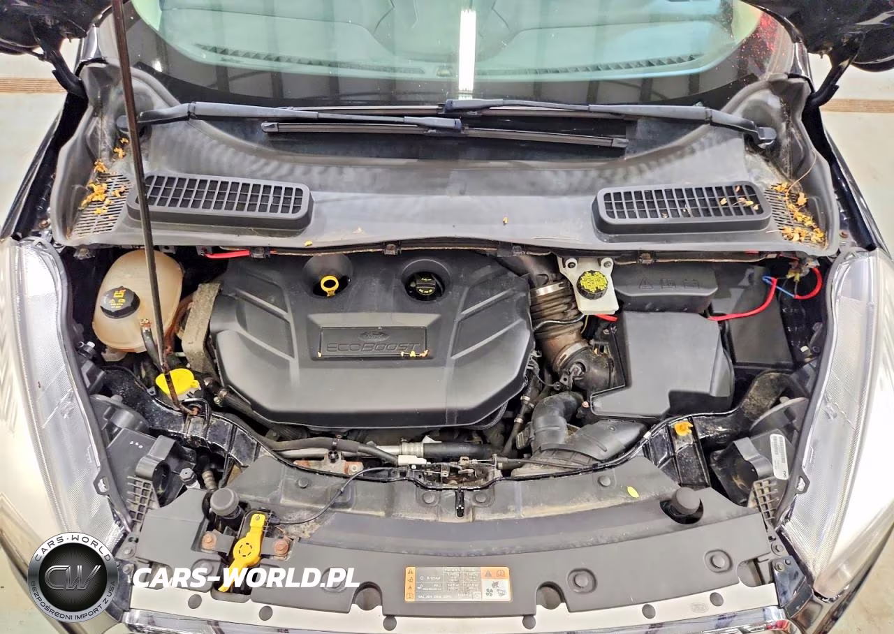 2017 Ford Escape Se VIN:1FMCU9G91HUC53189 - 12