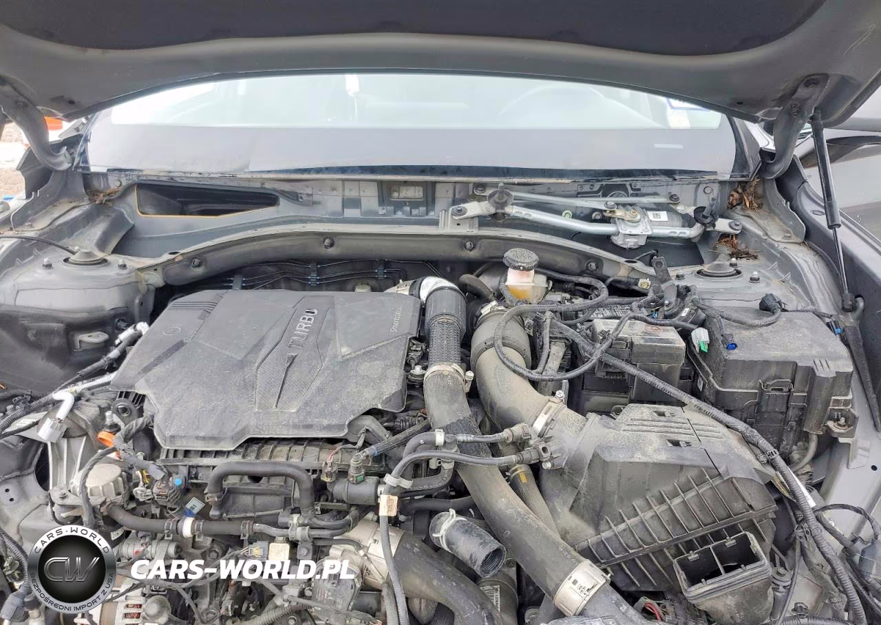 2023 Hyundai Santa Fe Limited VIN:5NMS44ALXPH493239 - 11