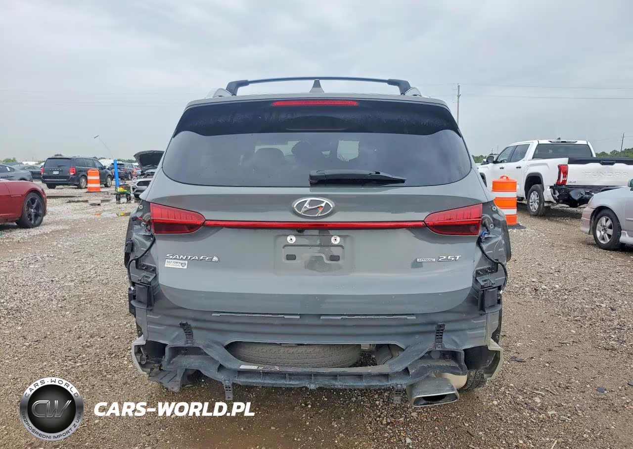 2023 Hyundai Santa Fe Limited VIN:5NMS44ALXPH493239 - 6