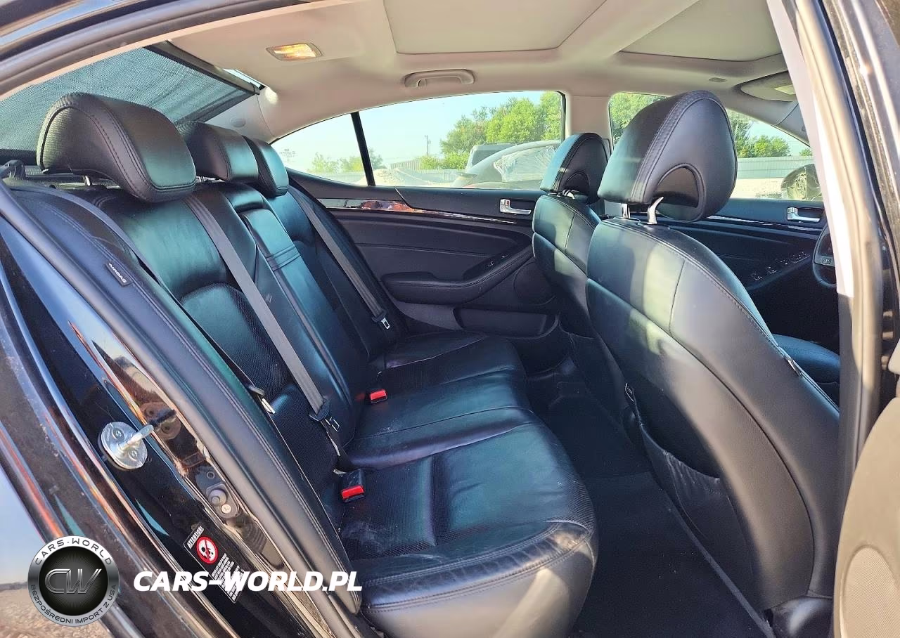 2014 Kia Cadenza Premium VIN:KNALN4D77E5163474 - 10