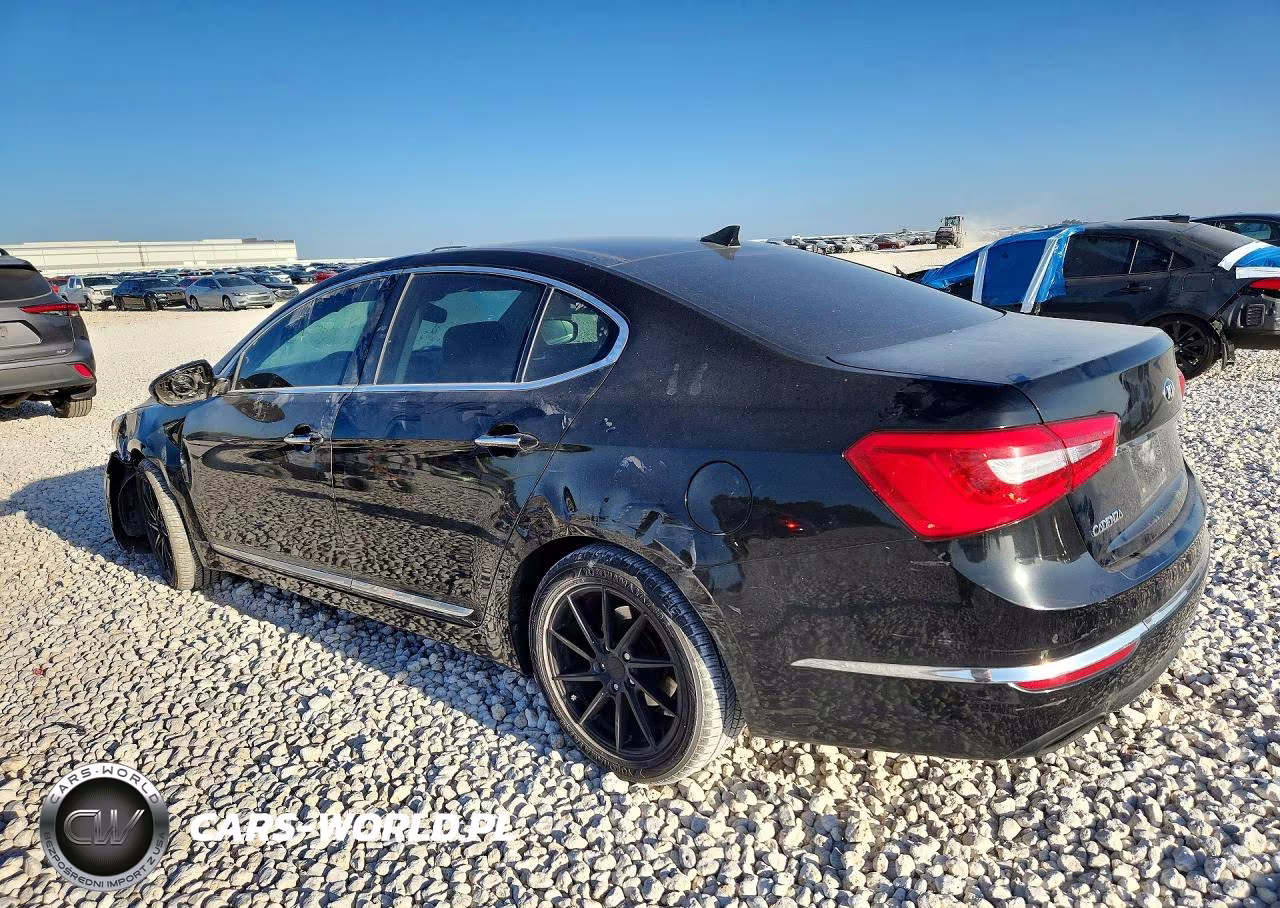 2014 Kia Cadenza Premium VIN:KNALN4D77E5163474 - 2