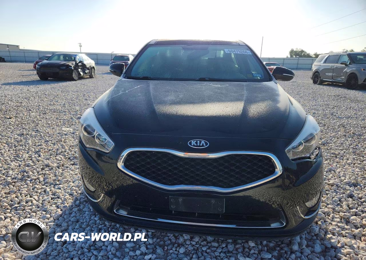 2014 Kia Cadenza Premium VIN:KNALN4D77E5163474 - 5